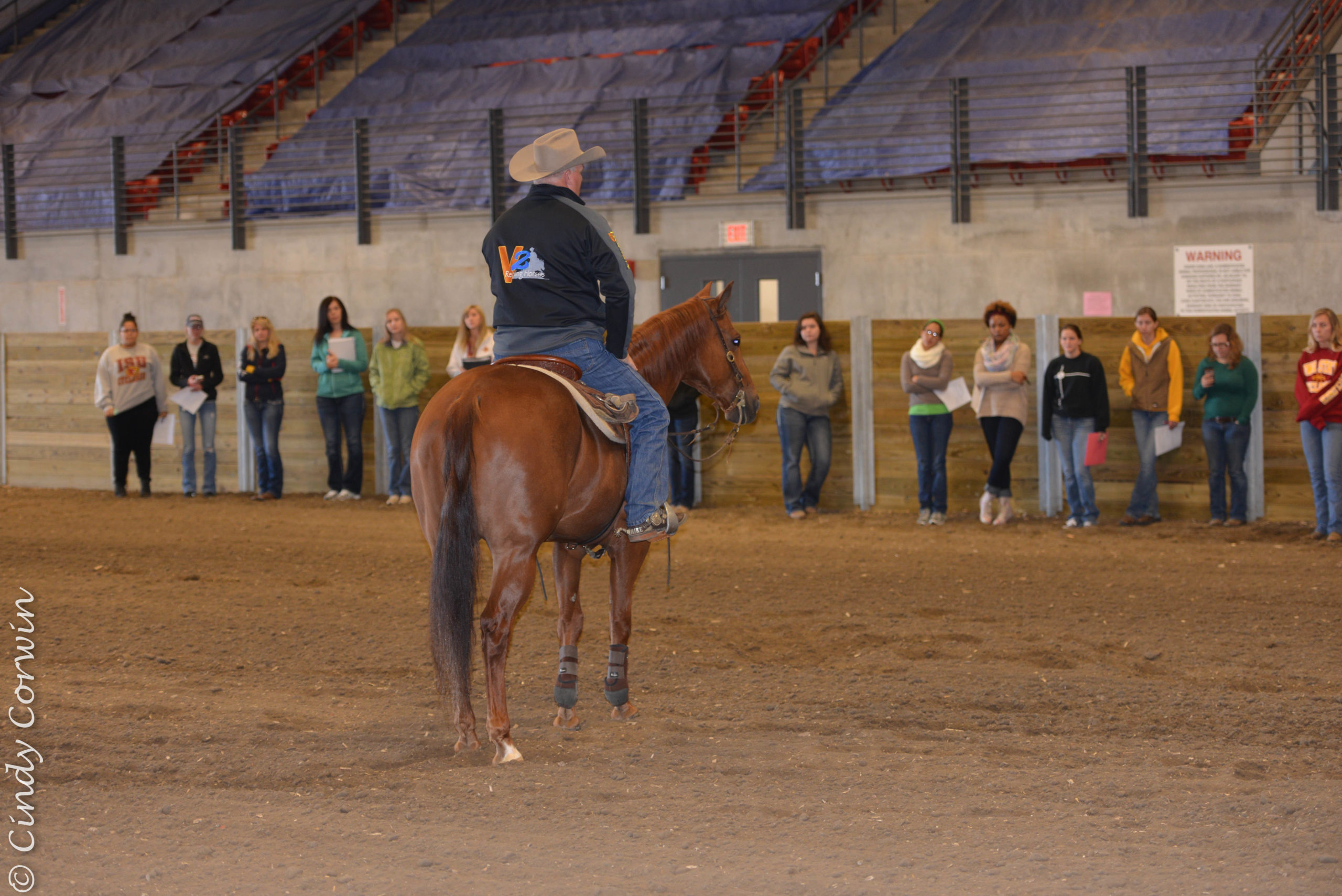 Backing Your Horse with Mike Davis