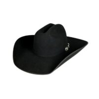 Resistol 4X Horseshoe Black Western Hat