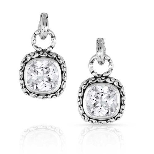 Montana Silversmiths Delight Crystal Earrings ER5242