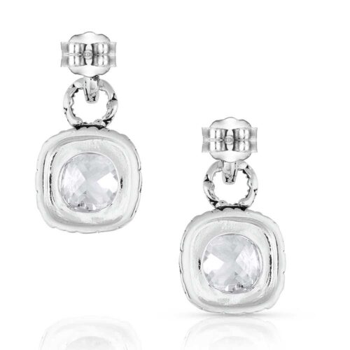 Montana Silversmiths Delight Crystal Earrings ER5242