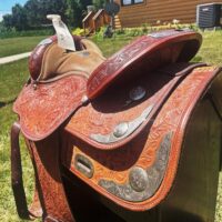 Used Floral Riding Saddle