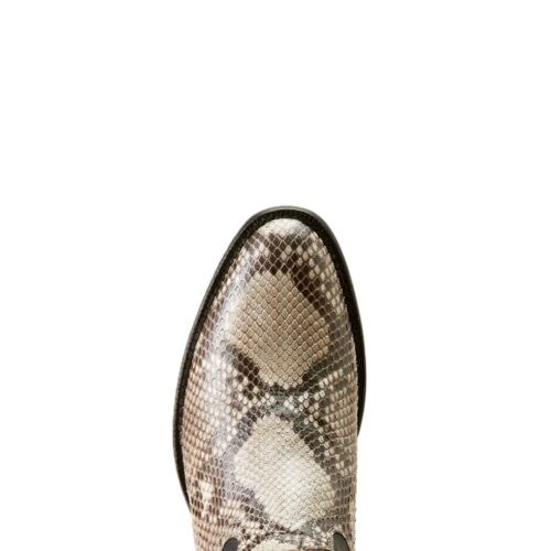 Closeup of a snakeskin cowboy boot.