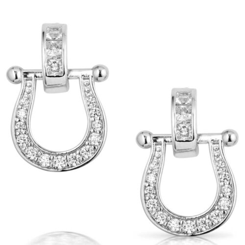 Montana Silversmiths Ride in Style Earrings