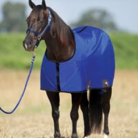 Big D All American Nylon Horse Sheet