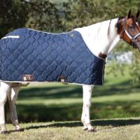 Big D All American Horse Blanket