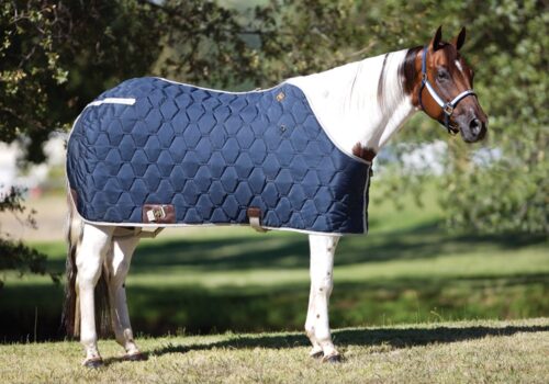 Big D All American Horse Blanket