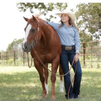 Cinch Classic Ladies Pin Striped Long Sleeve Shirt